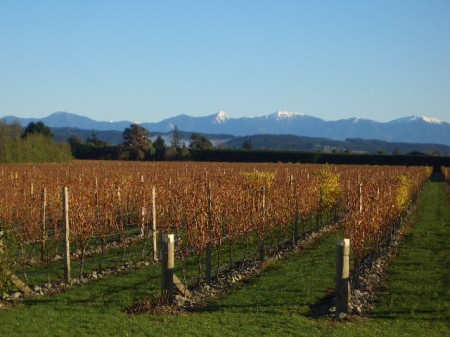 Milcrest Estate and Western ranges.JPG